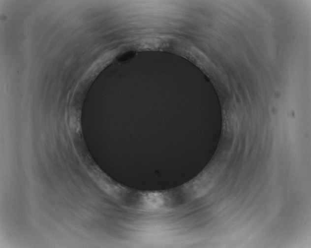 X0000078270091200611251404