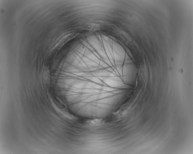 X0000078270092200611251404