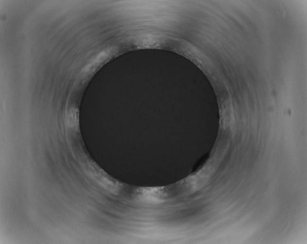 X0000078270093200611251404