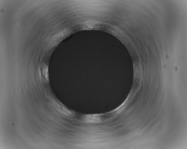 X0000078270094200611251404