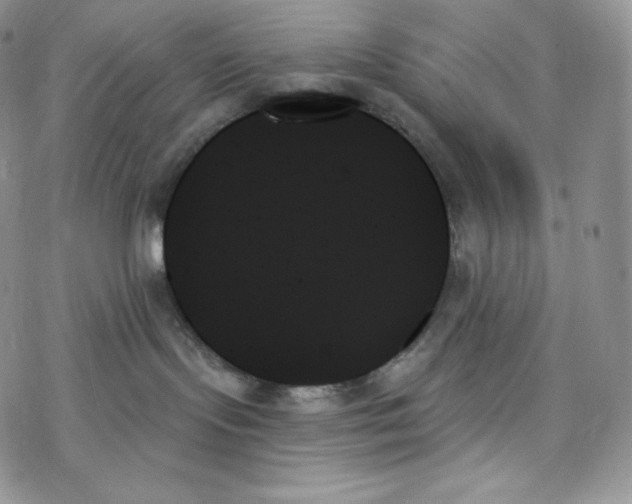 X0000078270095200611251404