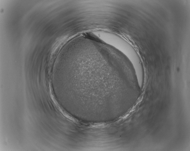 X0000078270097200611251403