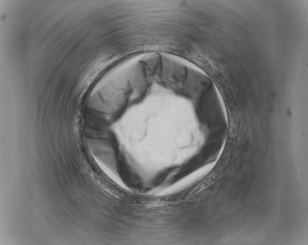 X0000078270098200611251403