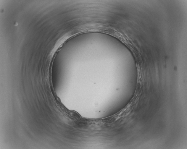 X0000078270099200611251403