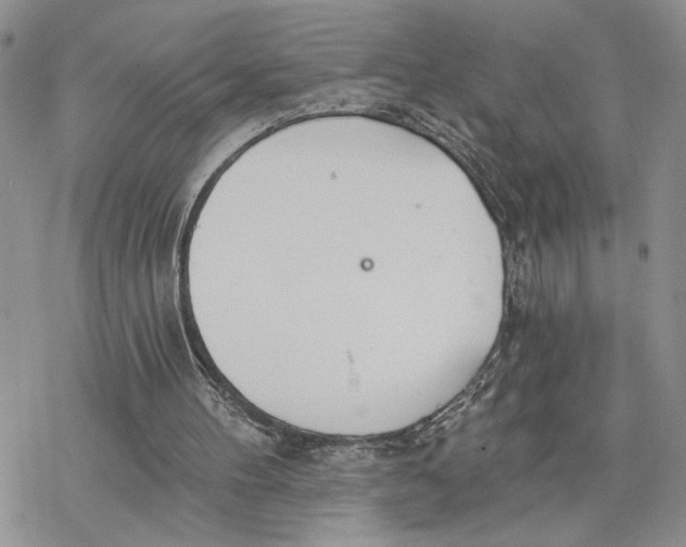 X0000078270100200611251403