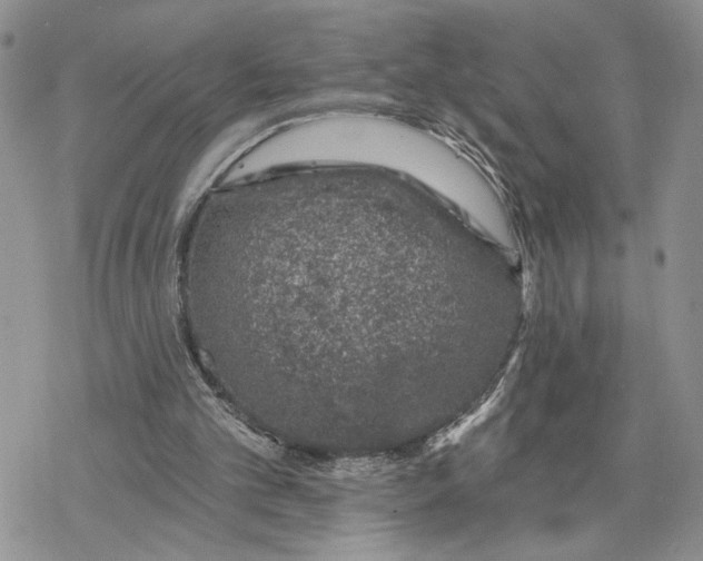 X0000078270101200611251403