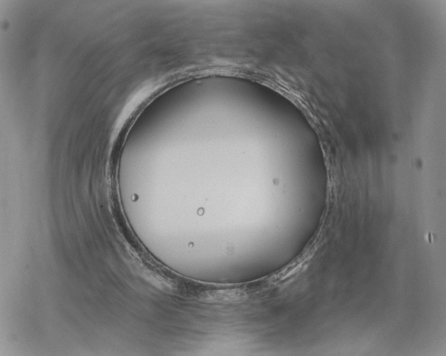 X0000078270102200611251403