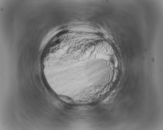 X0000078270103200611251403