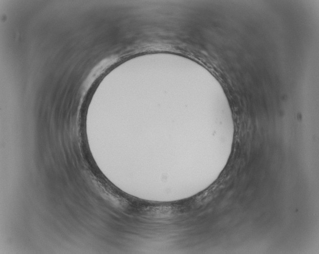 X0000078270104200611251403