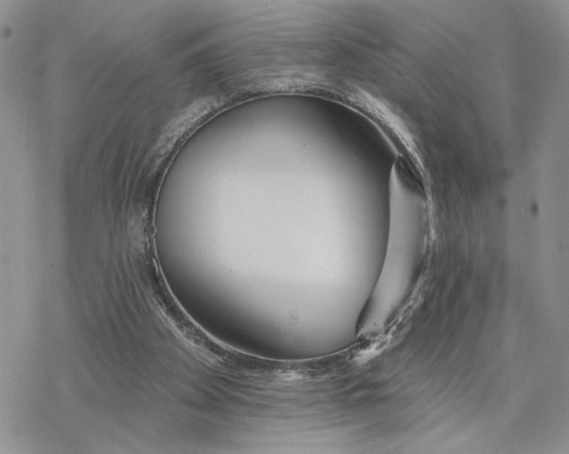 X0000078270105200611251403