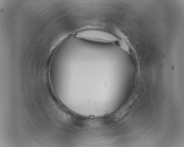 X0000078270106200611251403