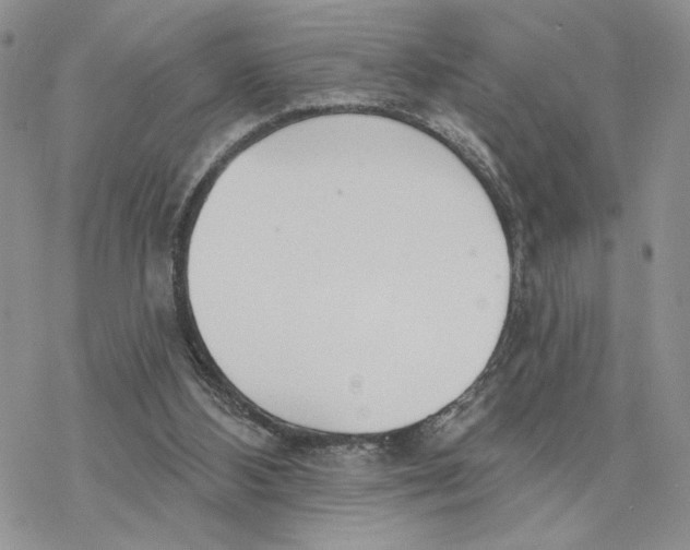 X0000078270108200611251403