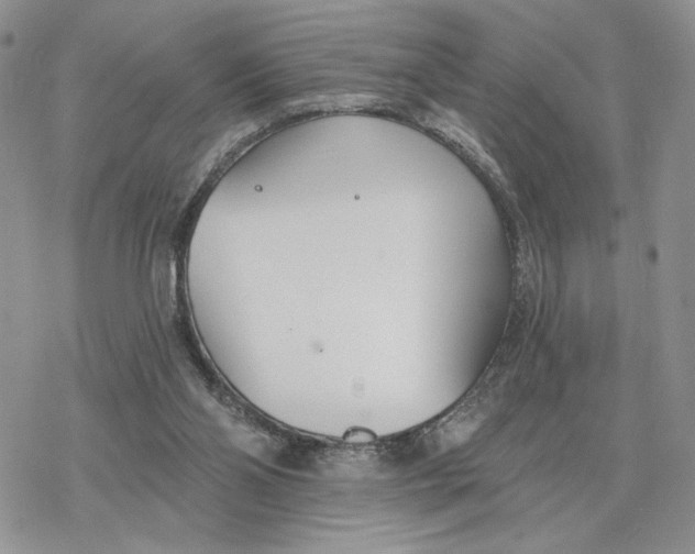 X0000078270110200611251403