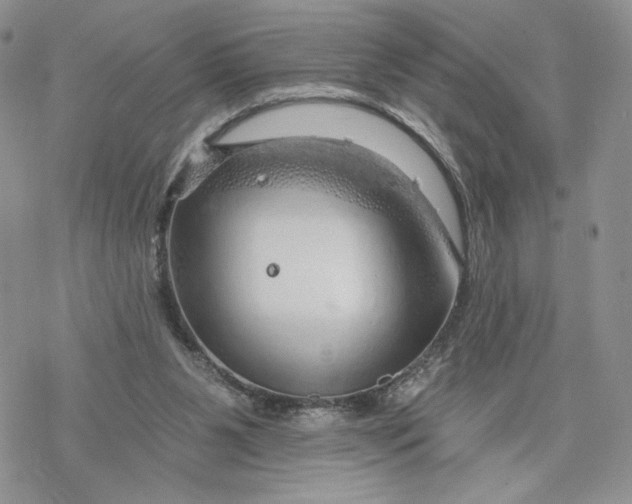 X0000078270111200611251403