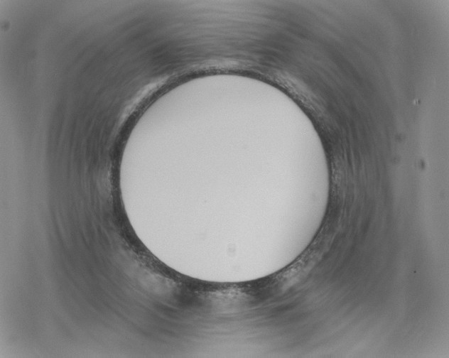 X0000078270112200611251403