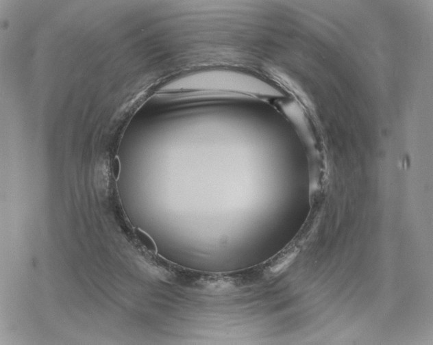 X0000078270113200611251403