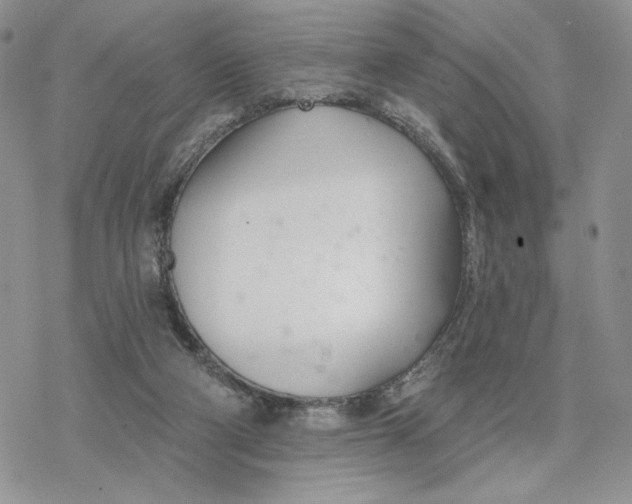 X0000078270114200611251403