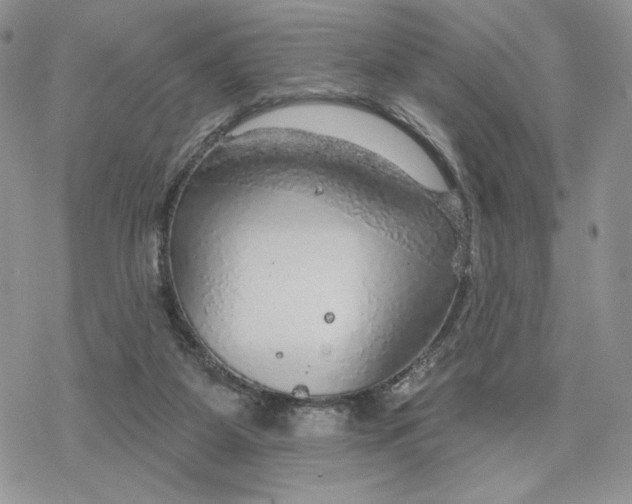 X0000078270115200611251403