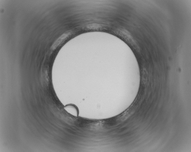 X0000078270116200611251403