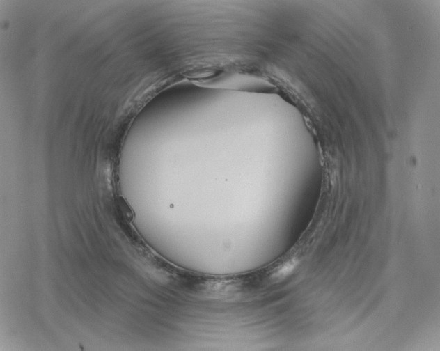 X0000078270117200611251403