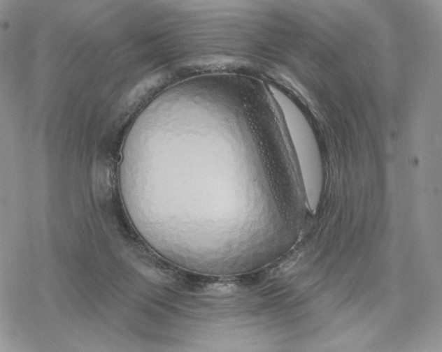 X0000078270119200611251403