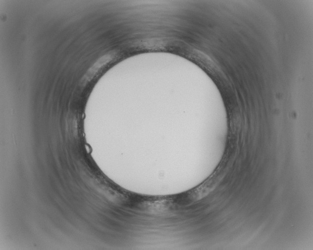 X0000078270120200611251403