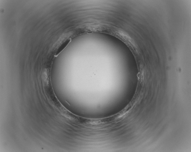 X0000078270121200611251403