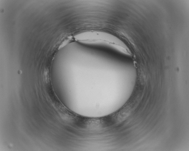 X0000078270123200611251403