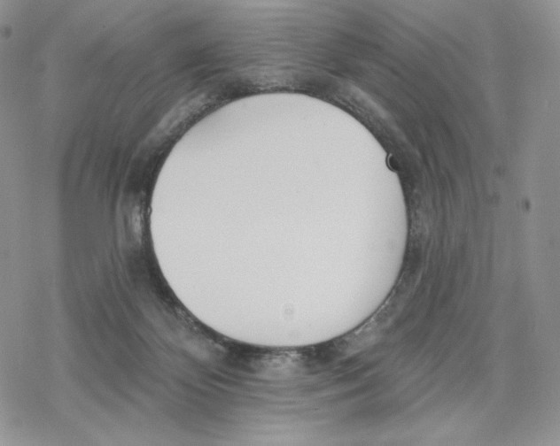 X0000078270124200611251403