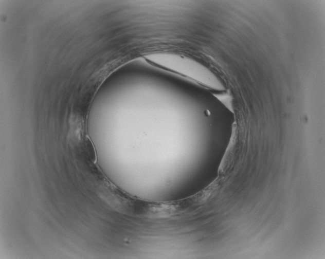 X0000078270125200611251403