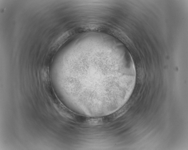 X0000078270126200611251403