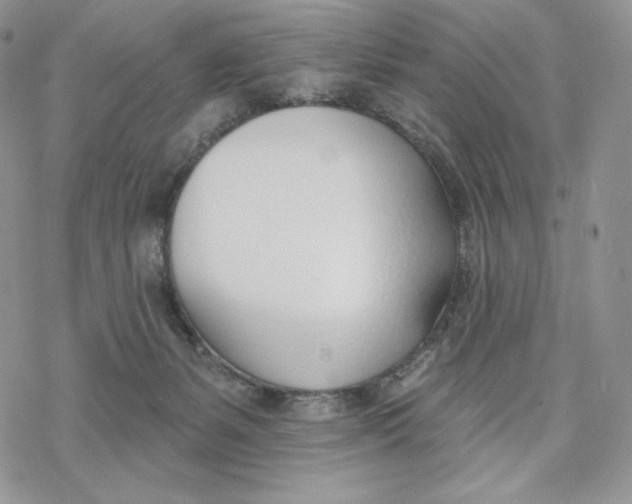 X0000078270127200611251403