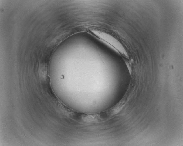 X0000078270129200611251403