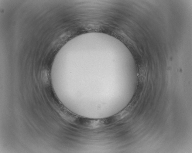 X0000078270130200611251403