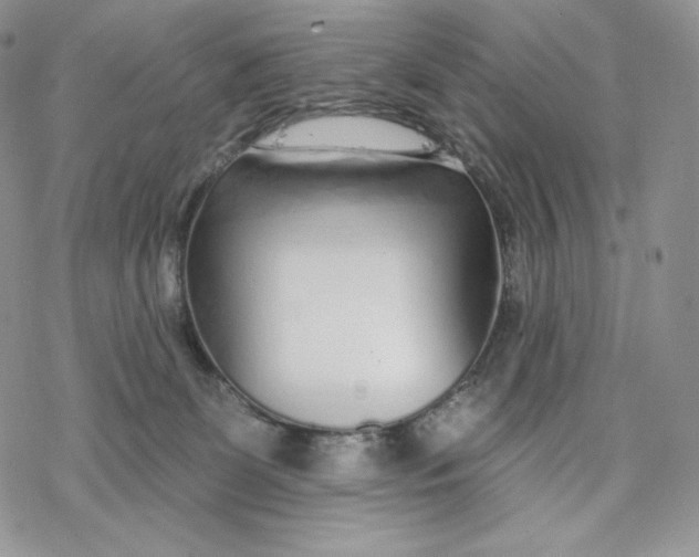 X0000078270131200611251403