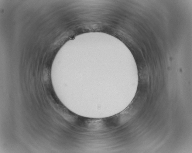 X0000078270132200611251403