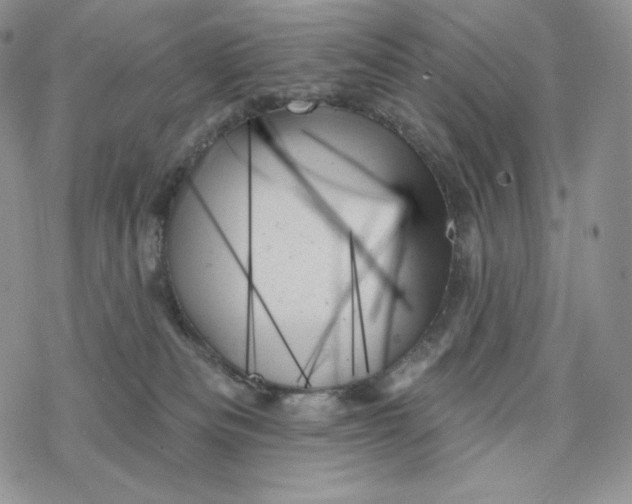 X0000078270133200611251403