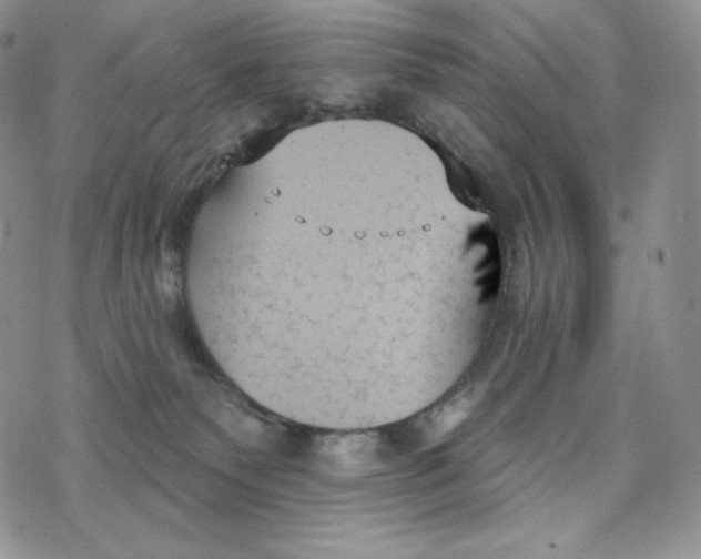 X0000078270135200611251403