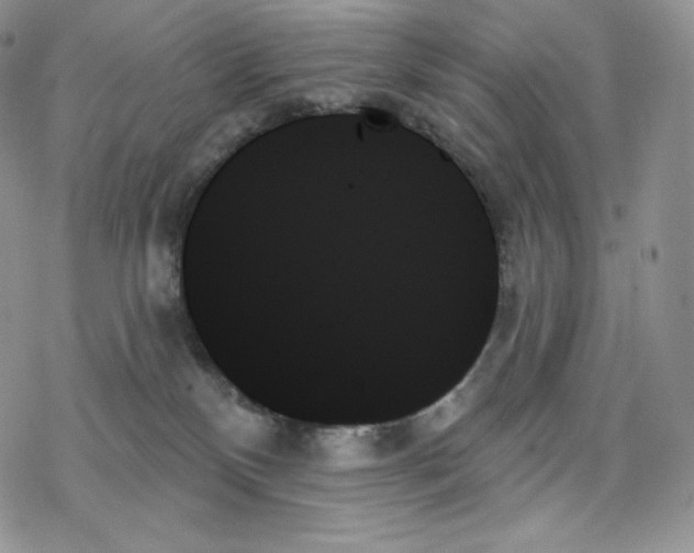 X0000078270136200611251403