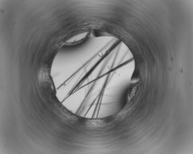 X0000078270137200611251403