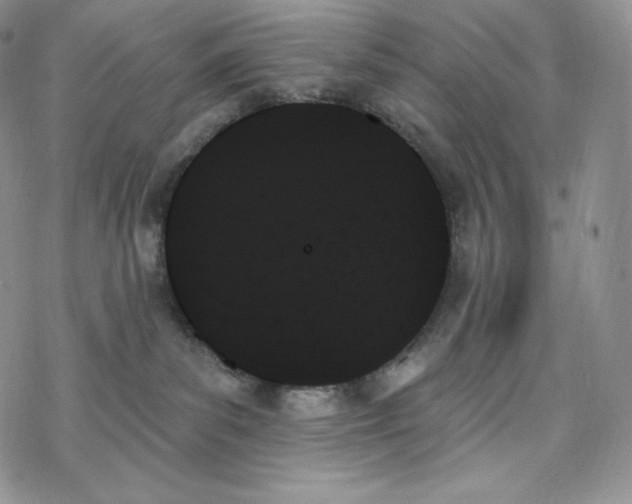 X0000078270139200611251403