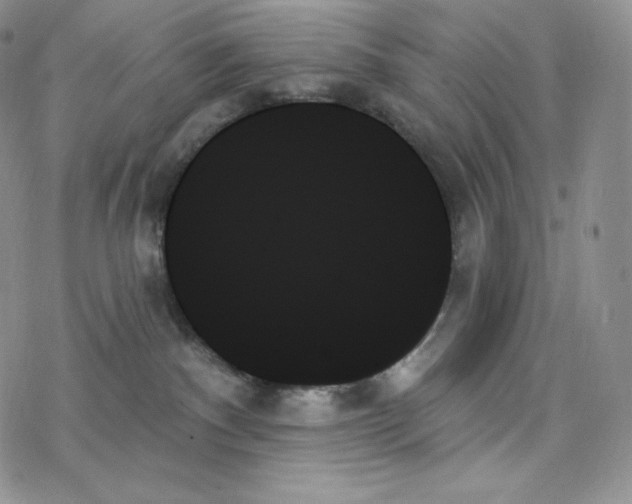 X0000078270140200611251403