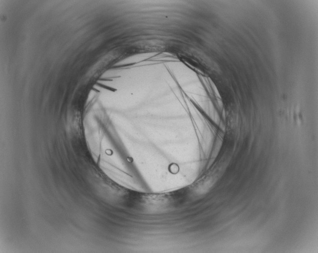 X0000078270141200611251402