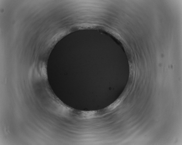 X0000078270143200611251402