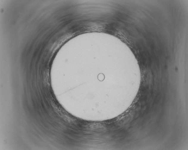 X0000078270146200611251402