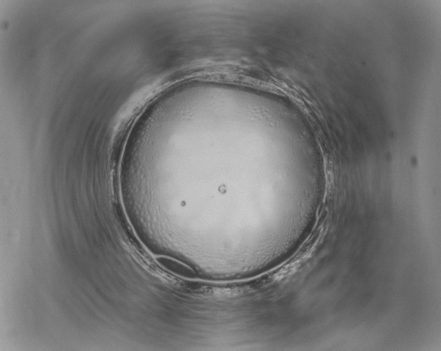 X0000078270149200611251402