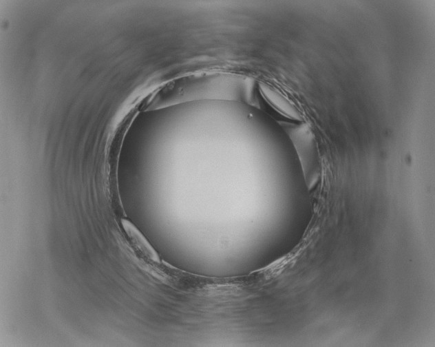 X0000078270150200611251402