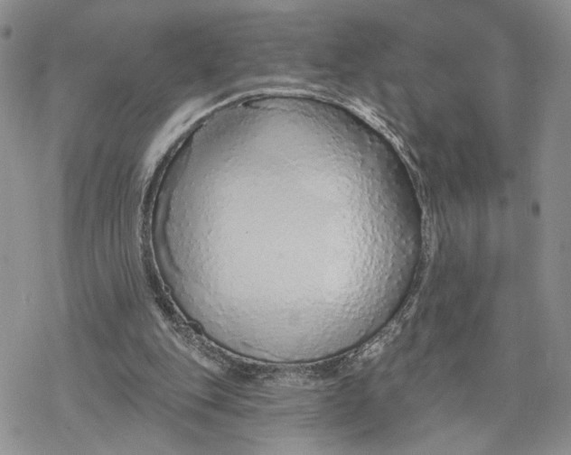 X0000078270151200611251402