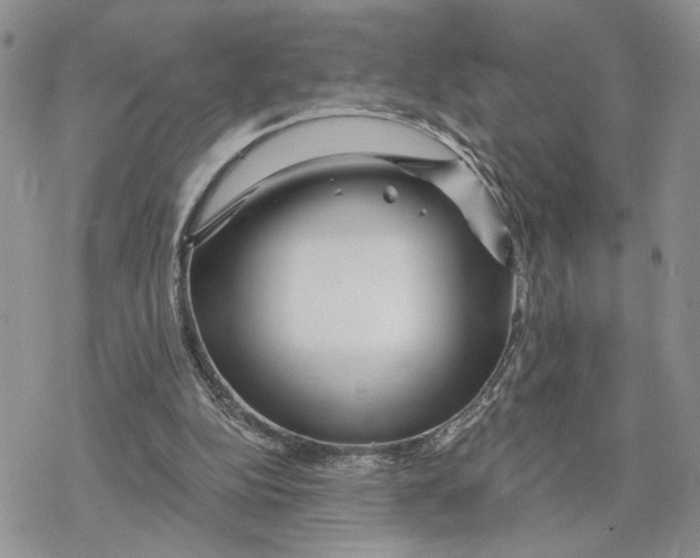 X0000078270152200611251402