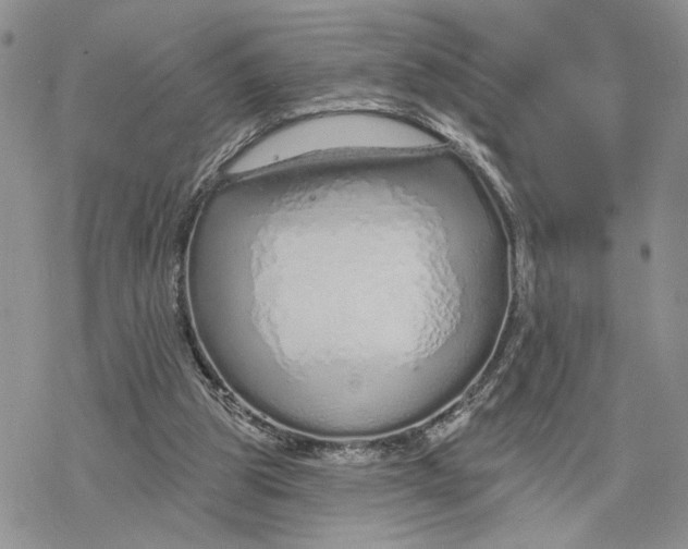 X0000078270153200611251402